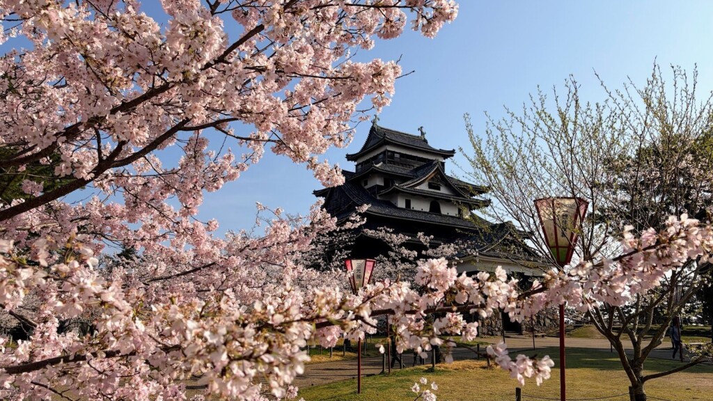 春の国宝・松江城の知られざる魅力