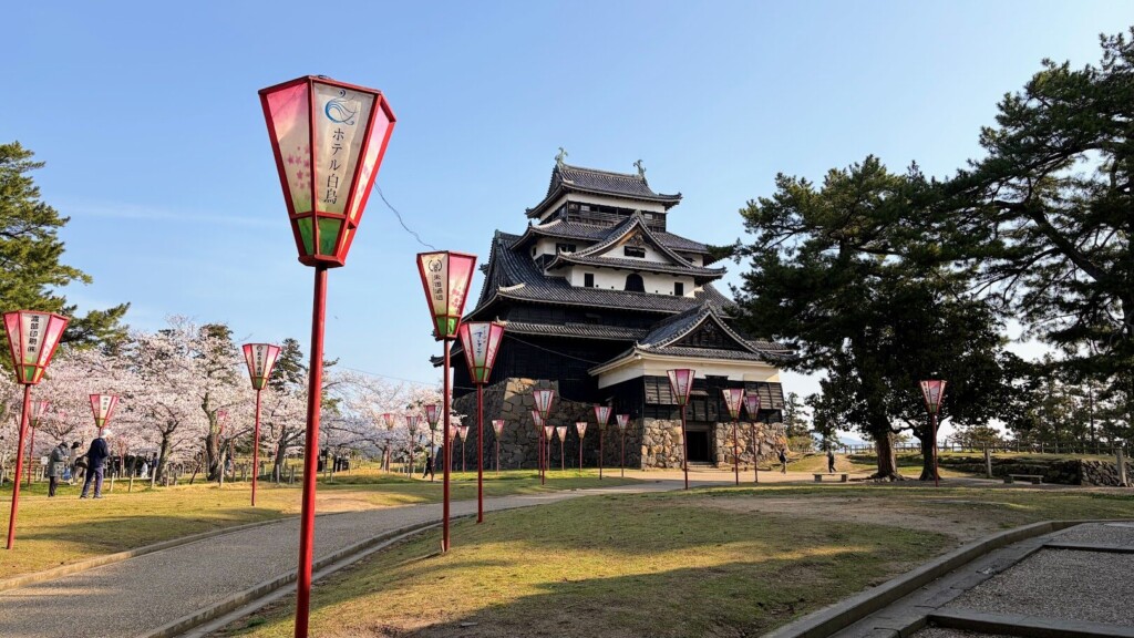 松江城山公園の桜をぶらり歩き