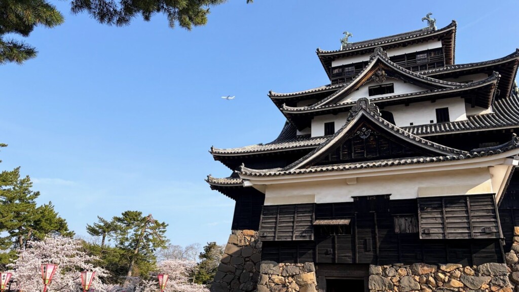 春の松江城観光に関するQ&A