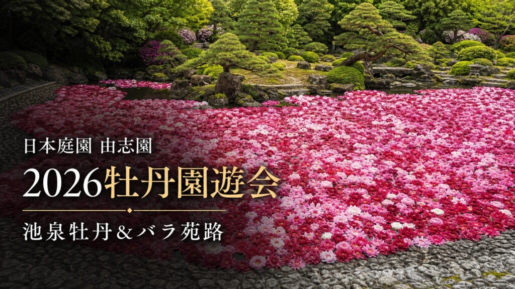 日本庭園 由志園「2026牡丹園遊会（池泉牡丹&バラ苑路）」