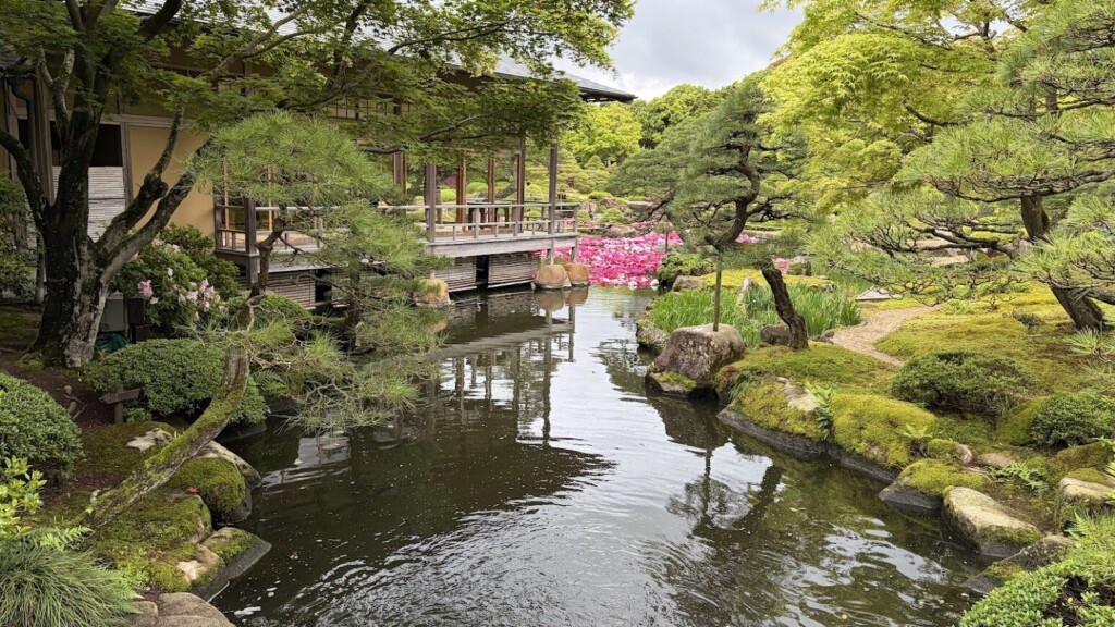 日本庭園 由志園「2026牡丹園遊会（池泉牡丹&バラ苑路）」の見どころ