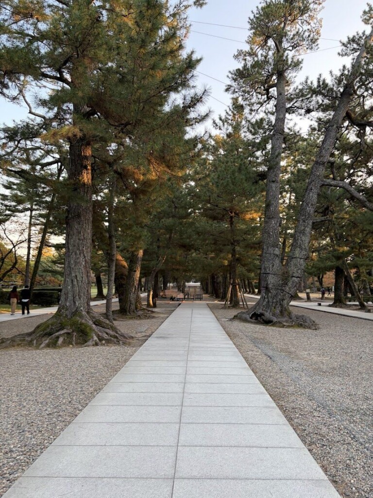 松の参道
