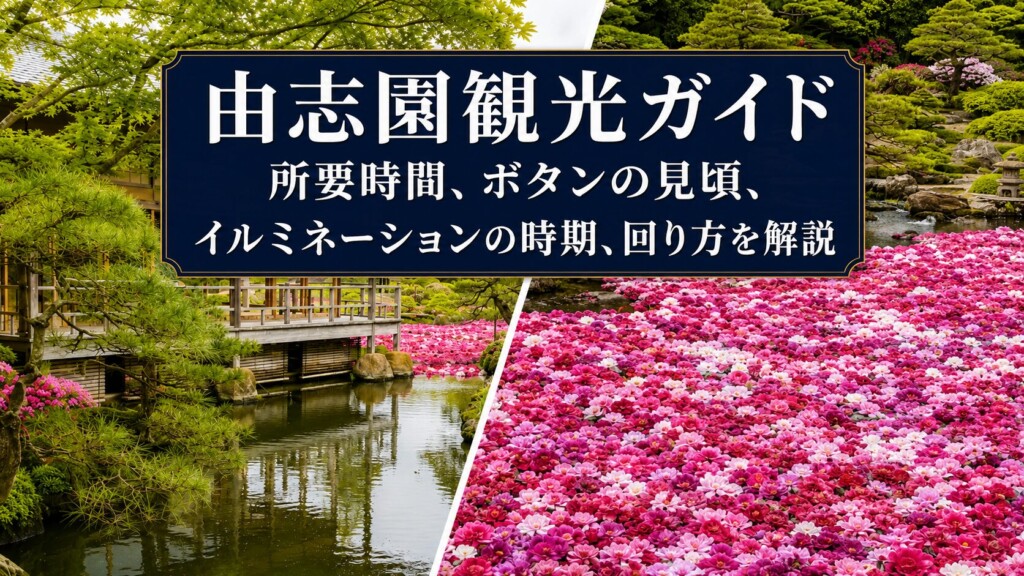【日本庭園 由志園】完全ガイド｜所要時間、ボタンの見頃、イルミネーションの時期、回り方を解説